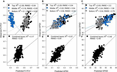 Prediction of Photosynthetic, Biophysical, and Biochemical Traits in Wheat Canopies to Reduce the Phenotyping Bottleneck